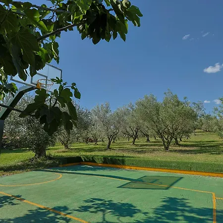 Peponi Spacious Traditional With Garden - Bbq & Private Parking Vila *