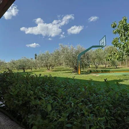 Peponi Spacious Traditional With Garden - Bbq & Private Parking *