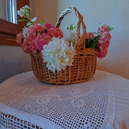 Peponi Spacious Traditional With Garden - Bbq & Private Parking