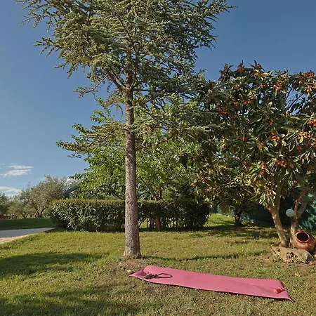 Peponi Spacious Traditional With Garden - Bbq & Private Parking Villa Kateríni
